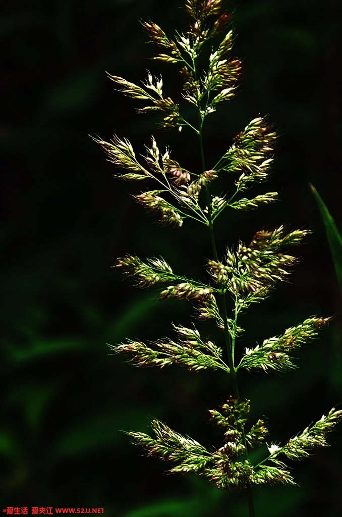 DSCF3514.jpg