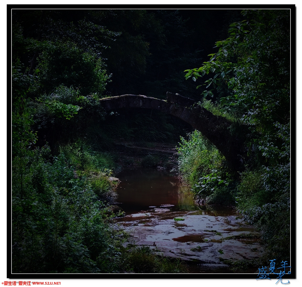 DSCF3564.jpg