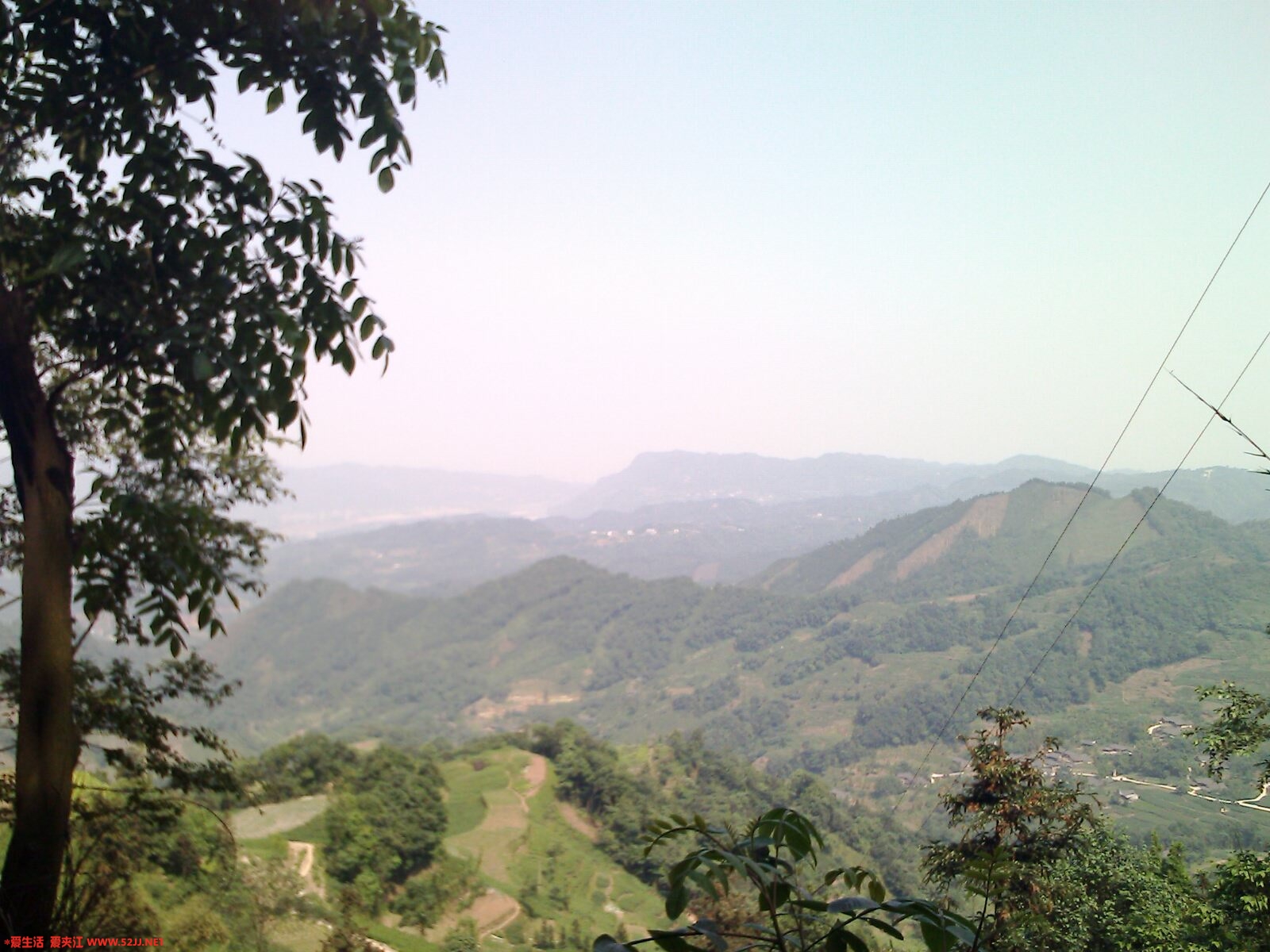 IMG0388A.jpg