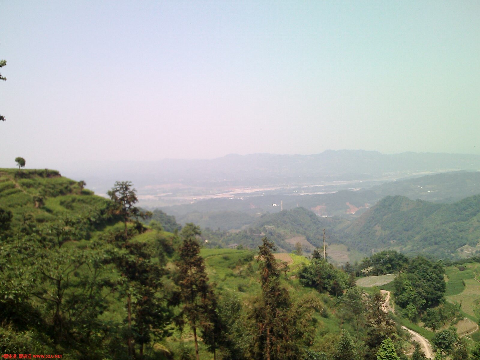IMG0392A.jpg