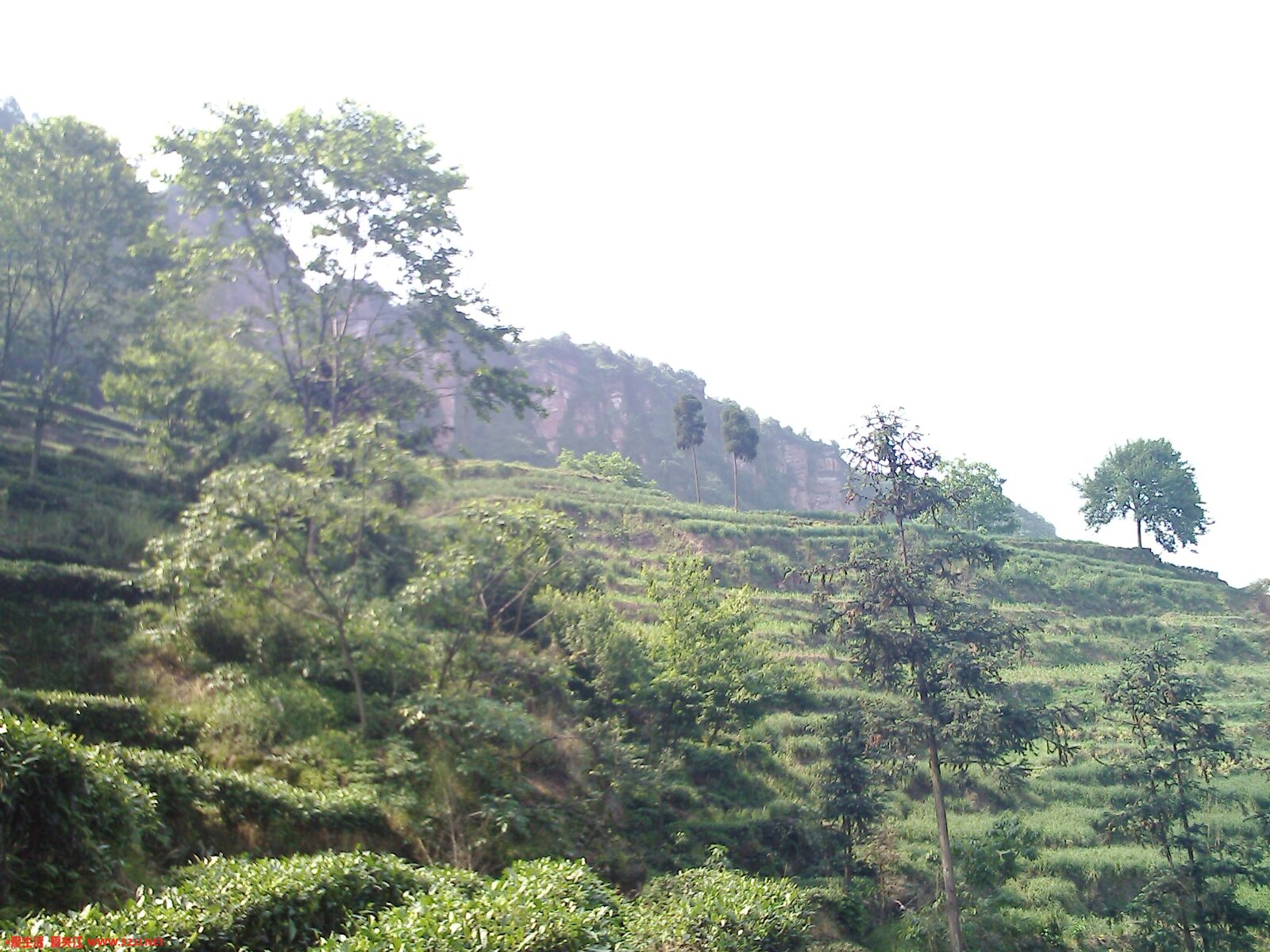 IMG0394A.jpg