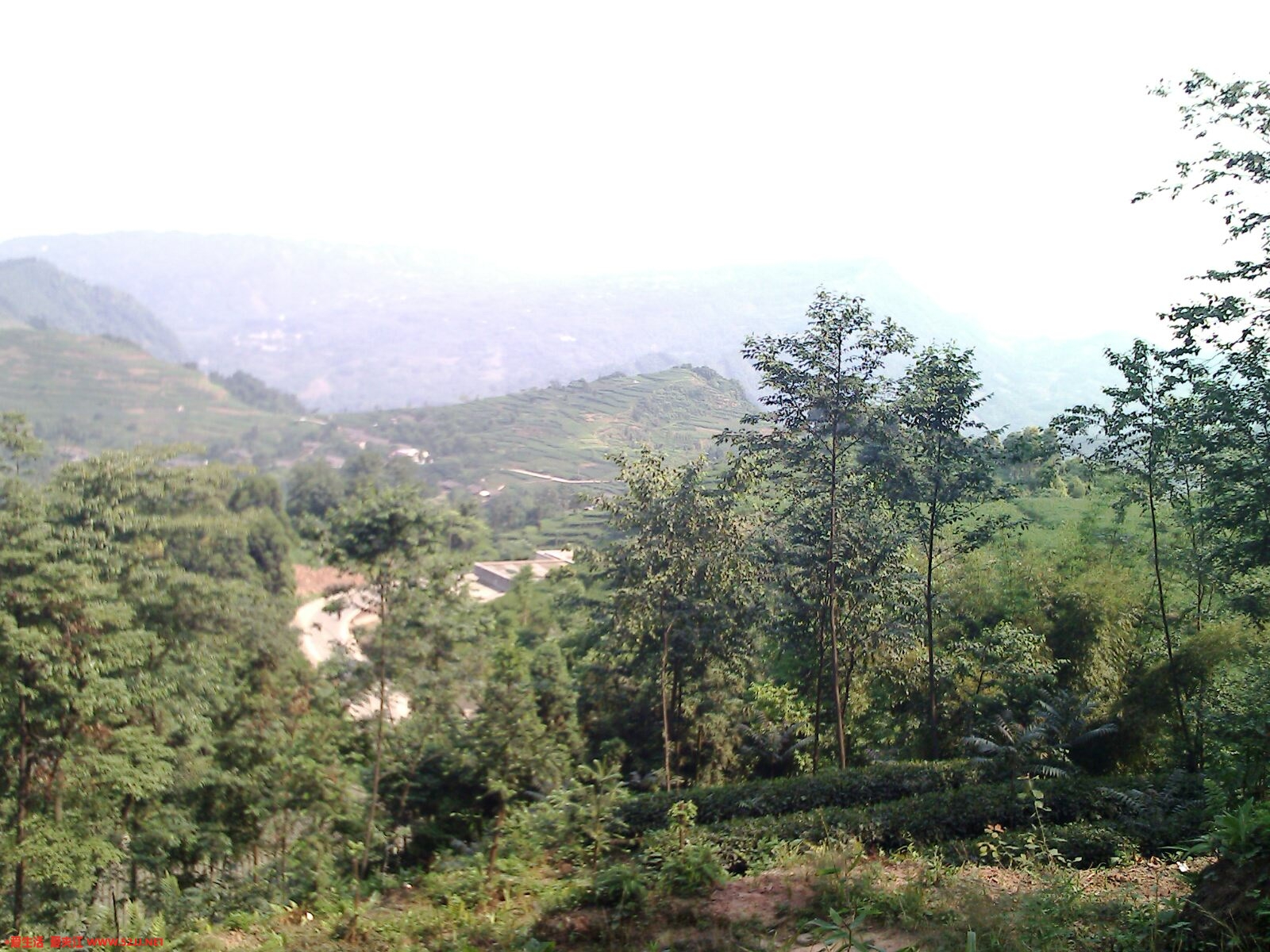 IMG0400A.jpg