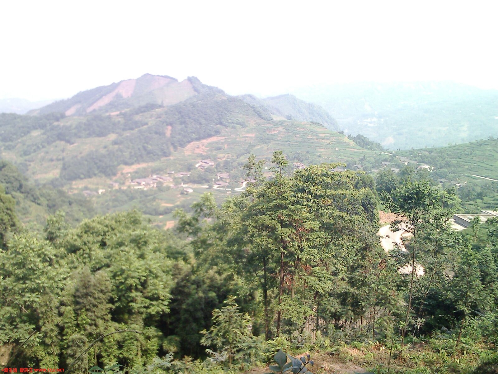 IMG0399A.jpg