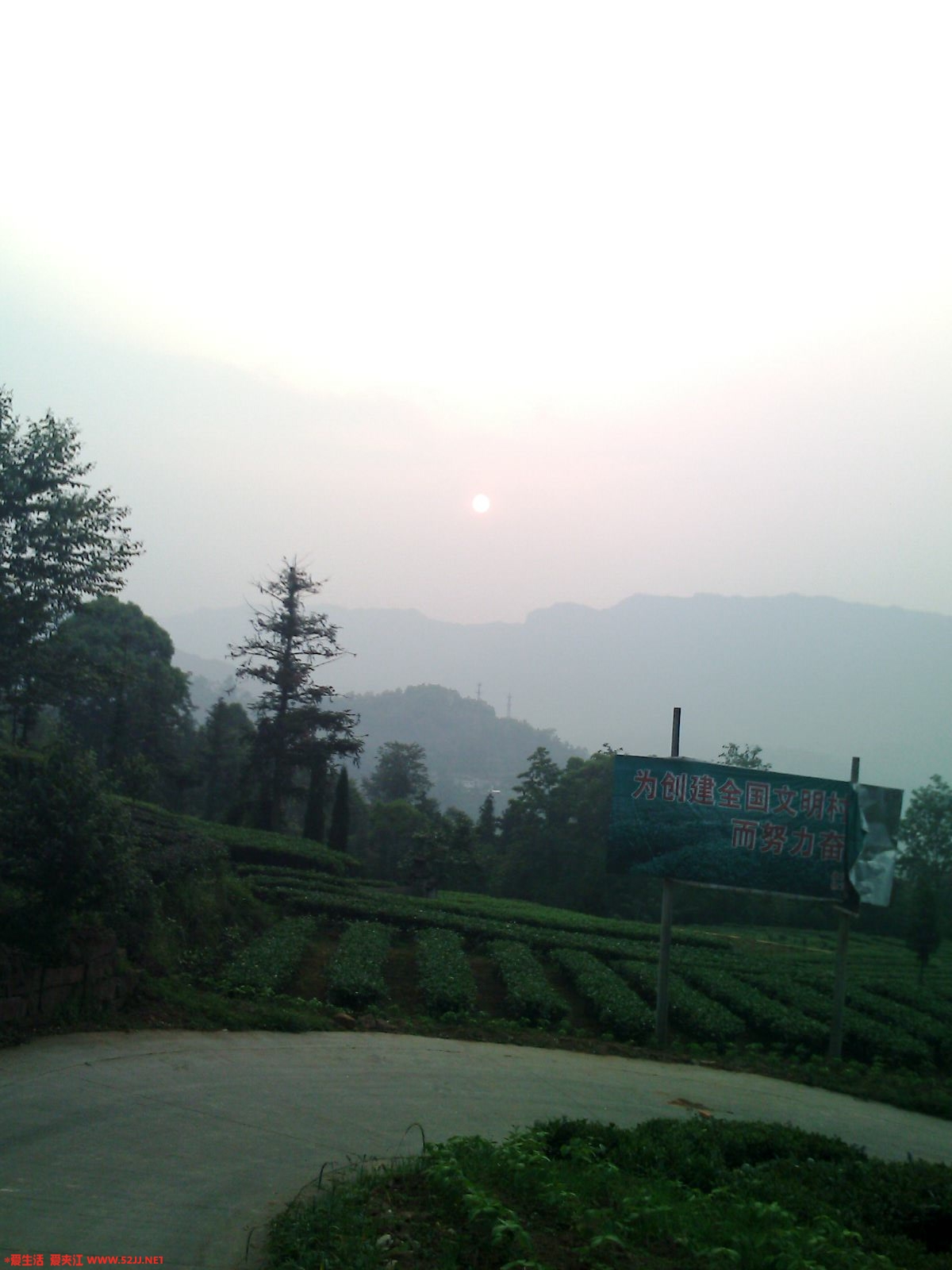 IMG0402A.jpg