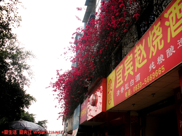DSCN1169.jpg