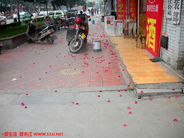 DSCN1171.jpg