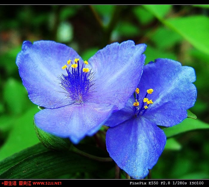 DSCF0237.JPG