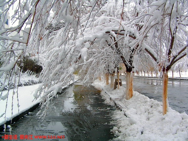 200512115234293.jpg