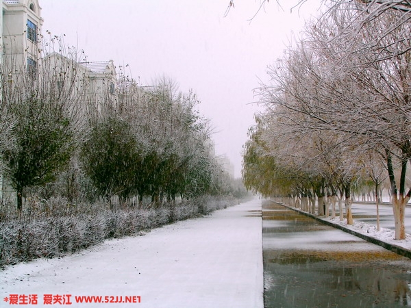 200512115259978.jpg