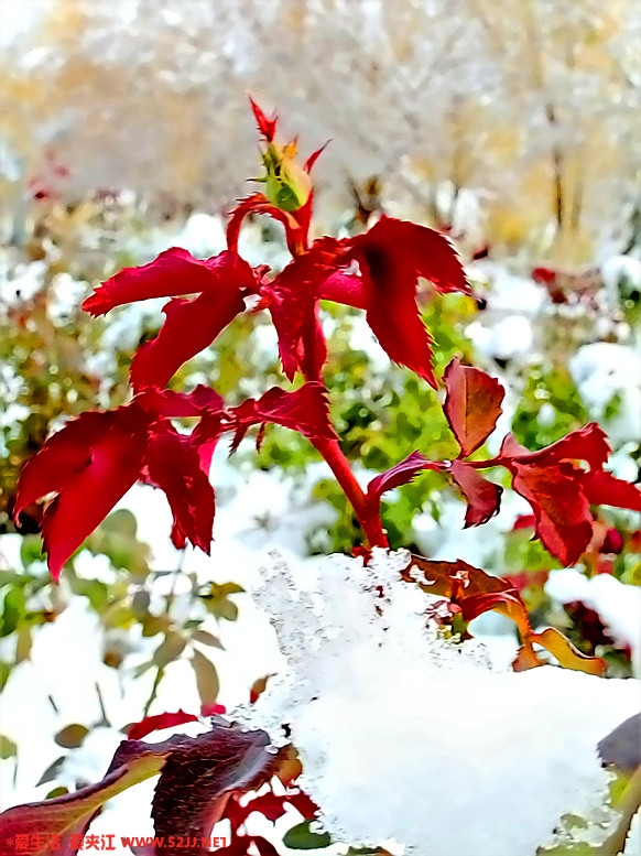 200512115320211.jpg