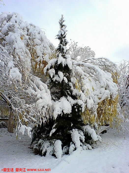 2005121152850656.jpg