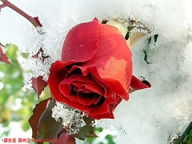 2005121153345372.jpg