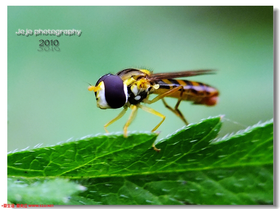 DSCF4491.jpg