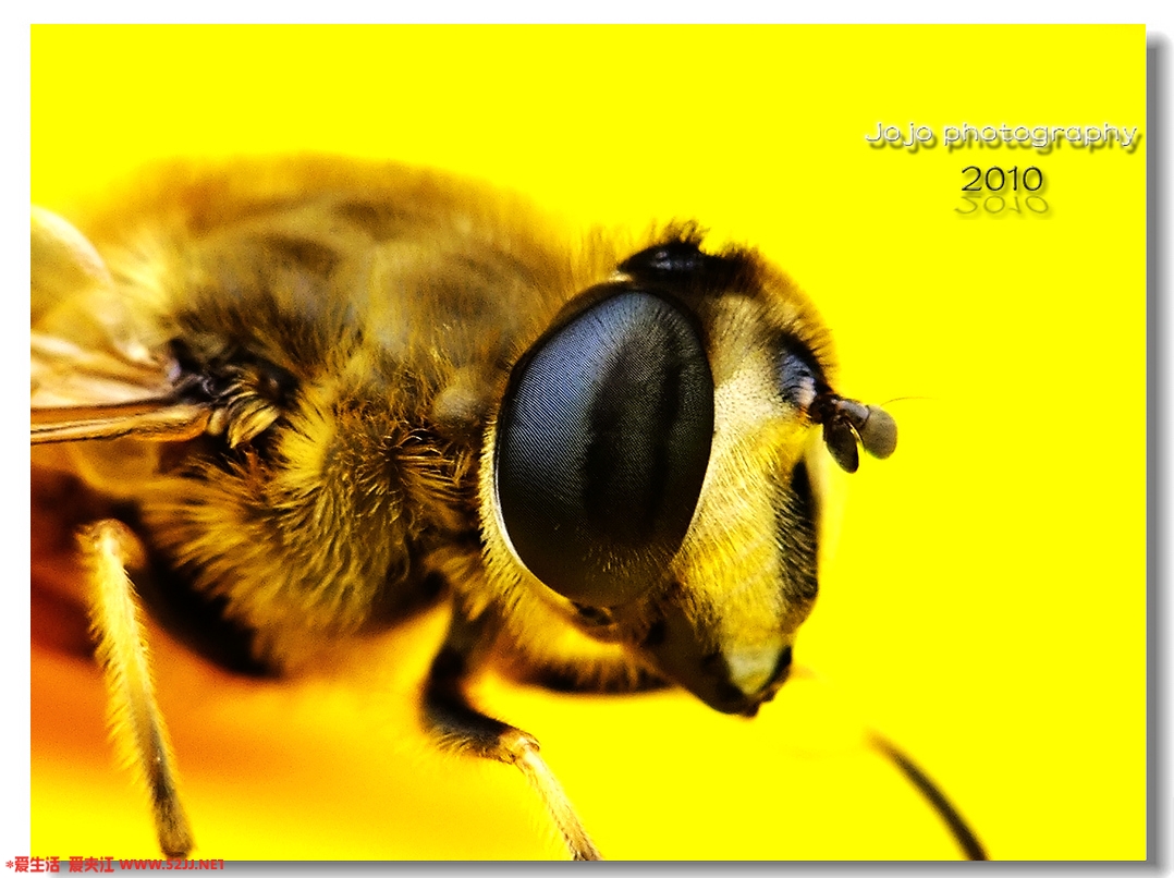 DSCF4519.jpg