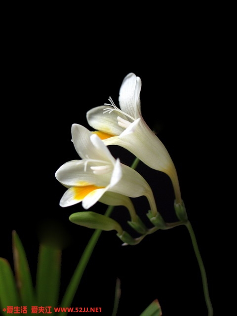 P3152010a_2.jpg