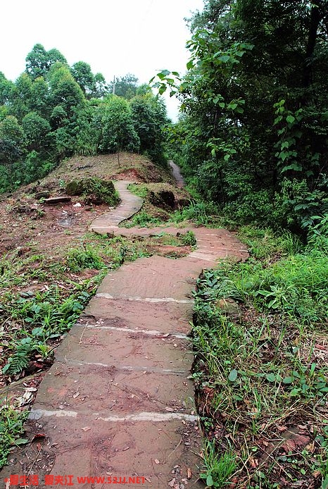 S路