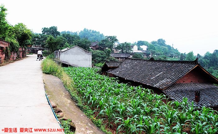 上水泥路