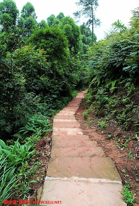 石板路