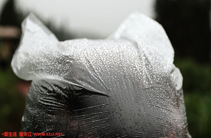 头上的雨水
