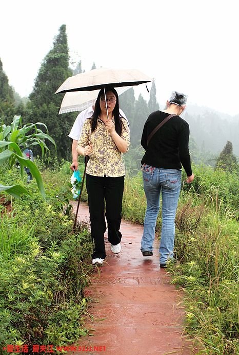 雨中行