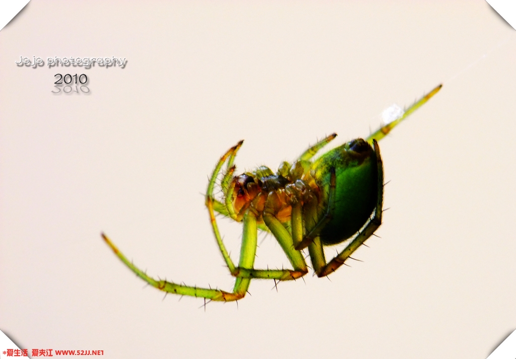 DSCF4754.JPG