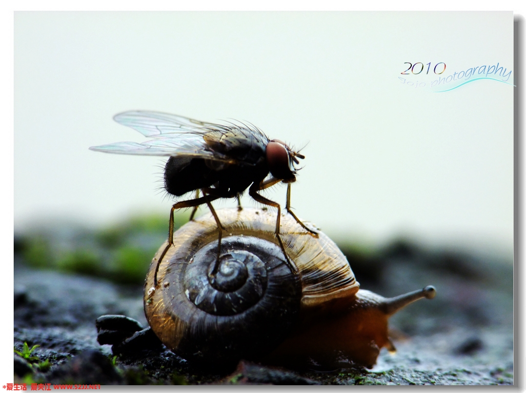 DSCF4768.JPG