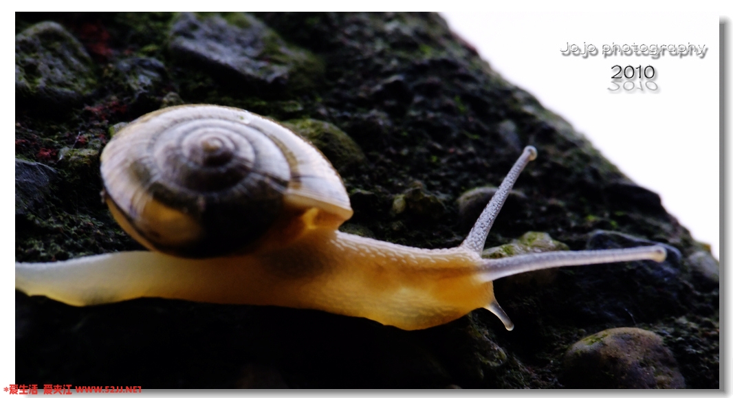 DSCF4781.JPG
