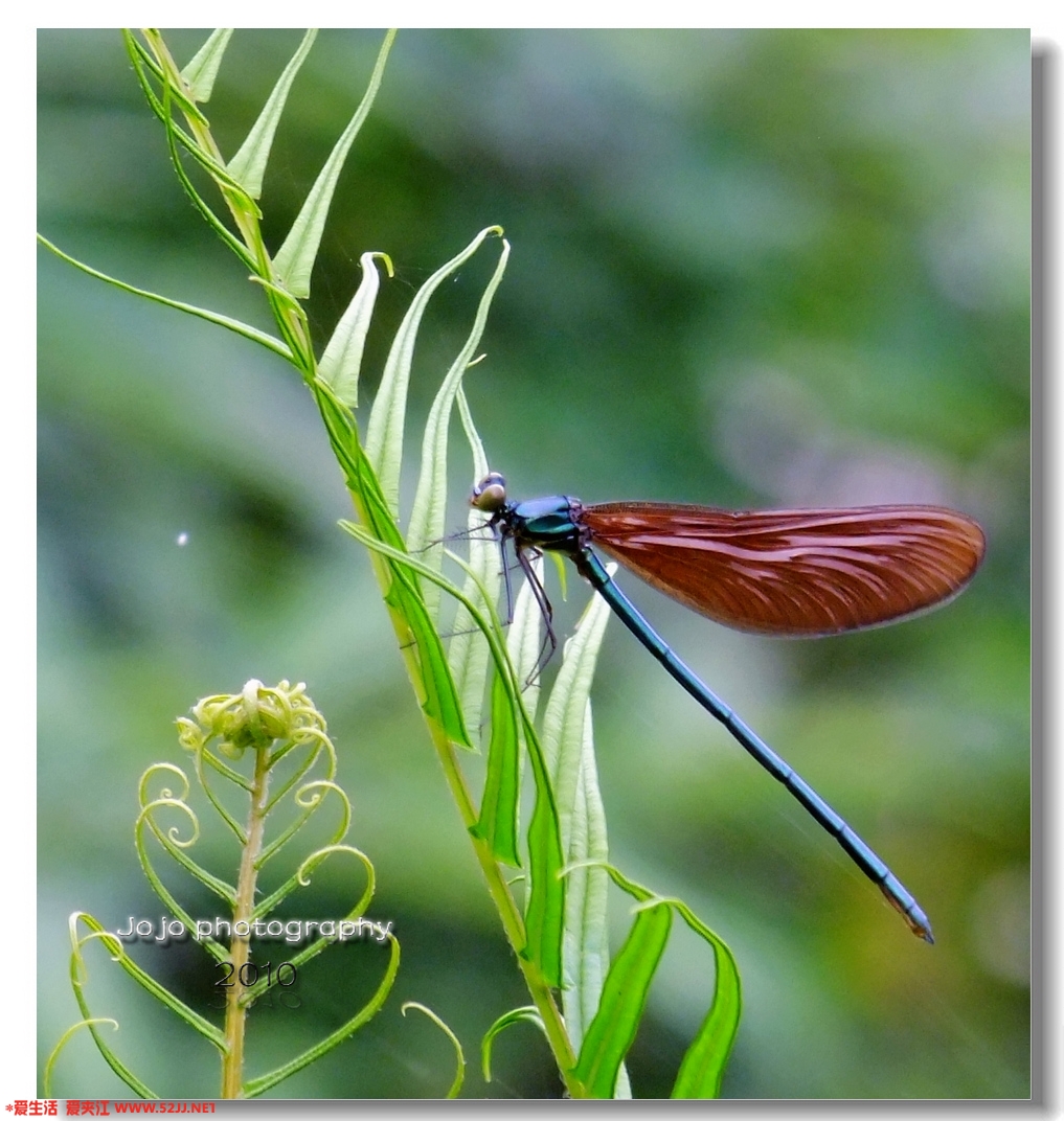 DSCF4812.JPG