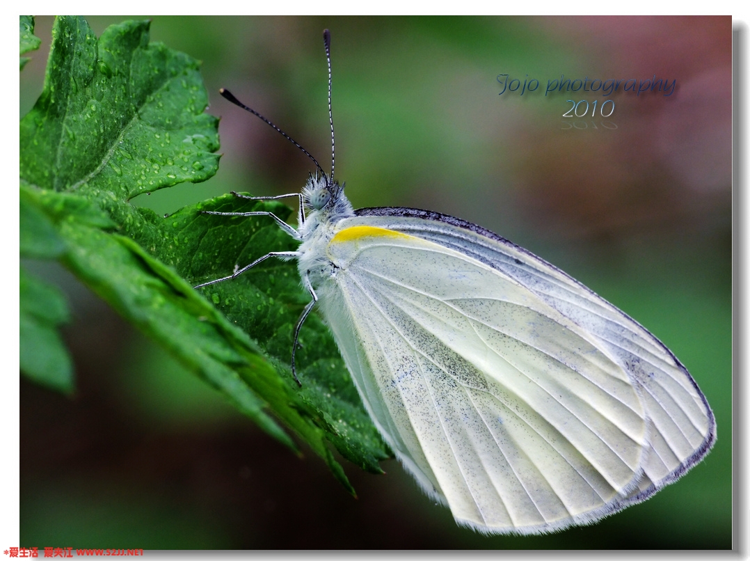 DSCF4853.JPG