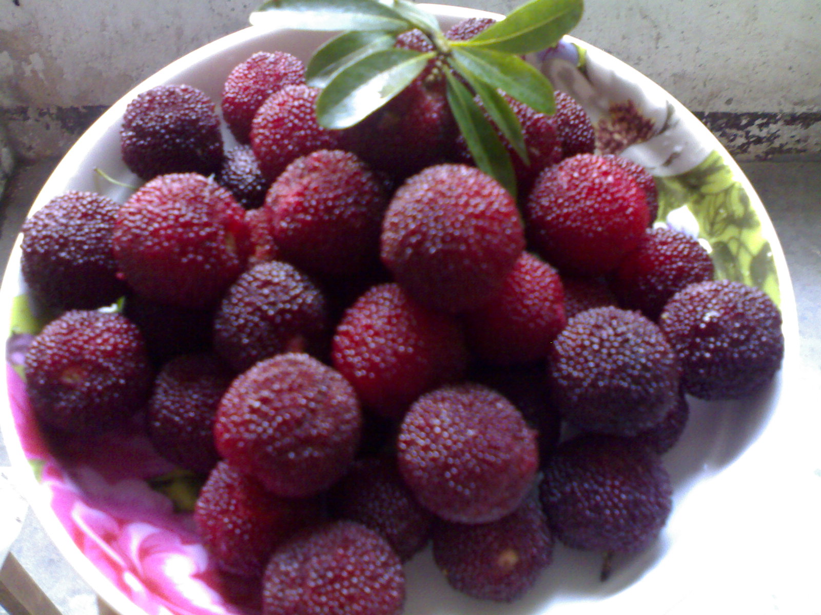 20100623512.jpg