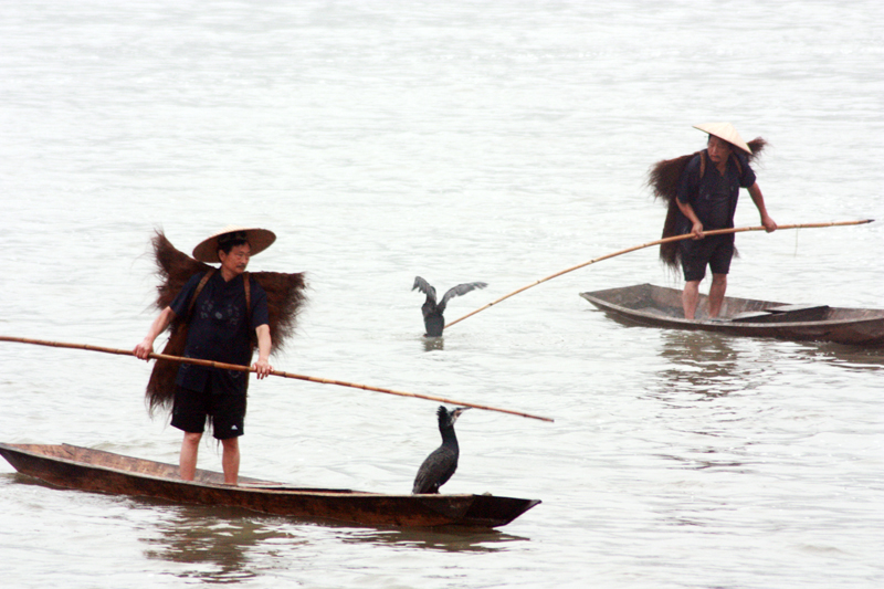 照片 328.jpg