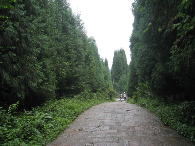 IMG_0483.JPG