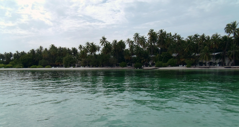 DSCF2359.JPG