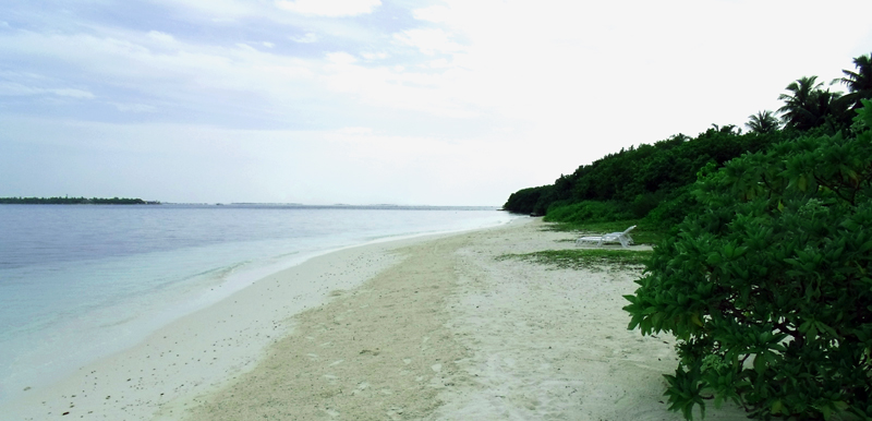 DSCF2343.JPG