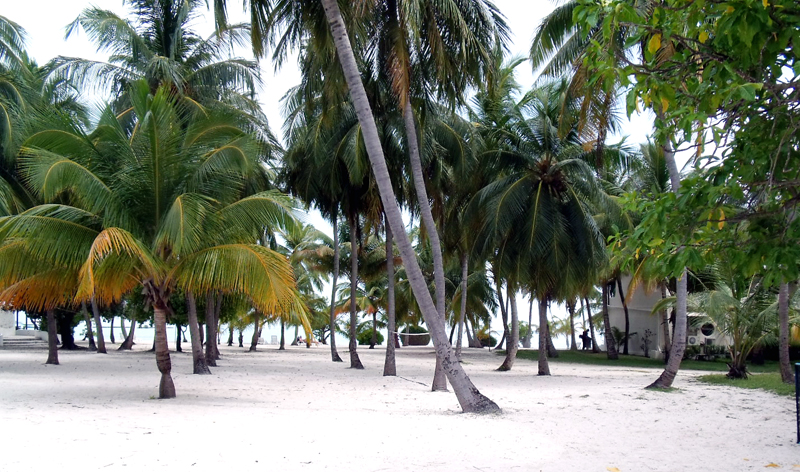 DSCF2382.JPG