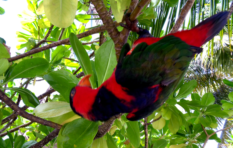 DSCF2315.JPG