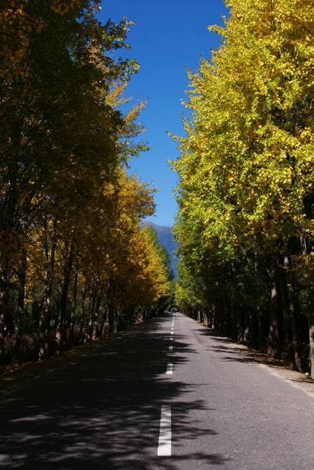 风景1.jpg