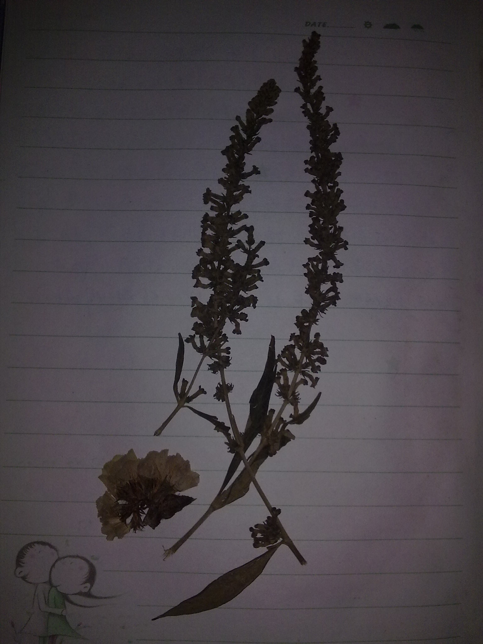 20100714897.jpg