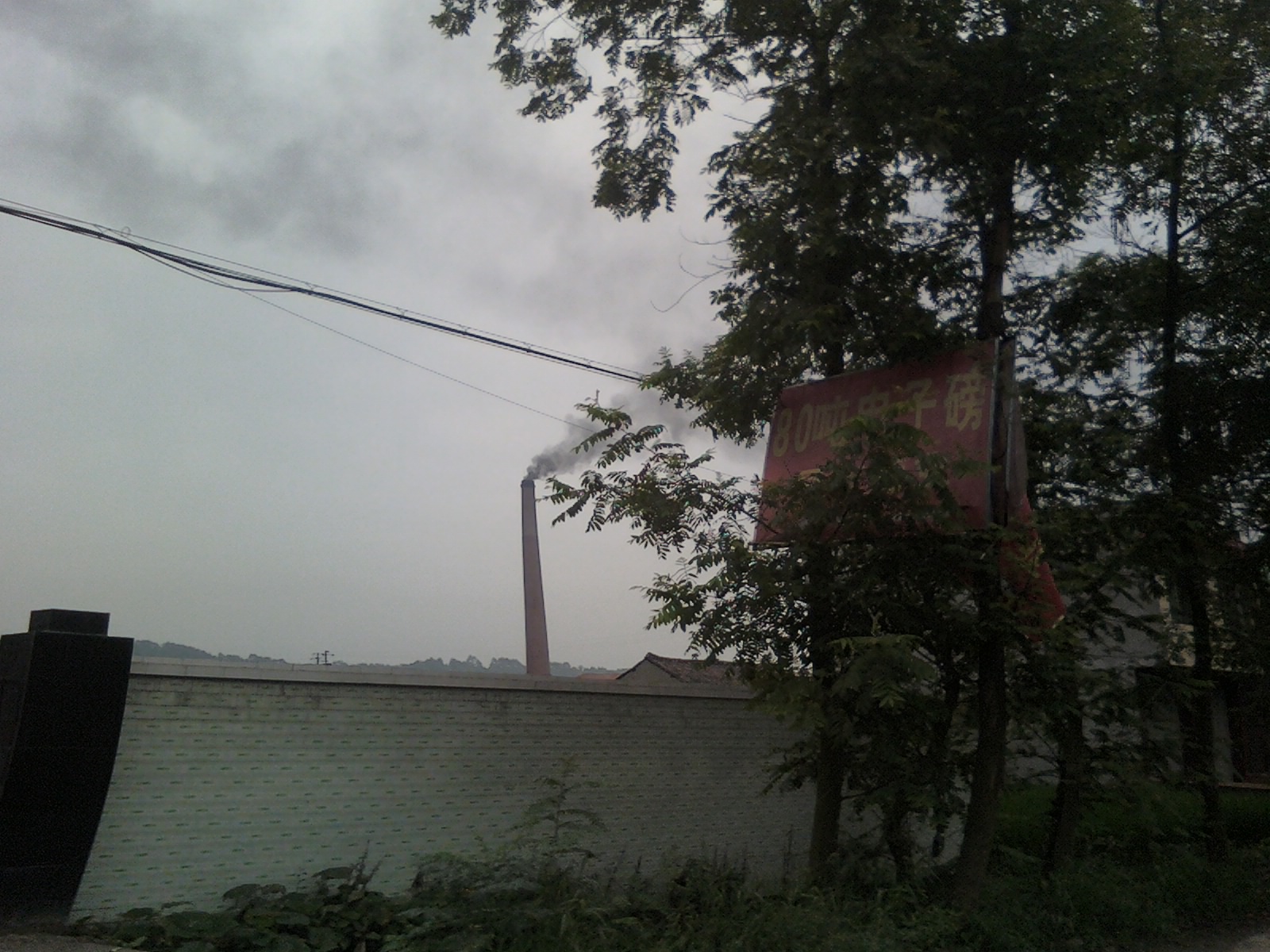 IMG334-01.jpg