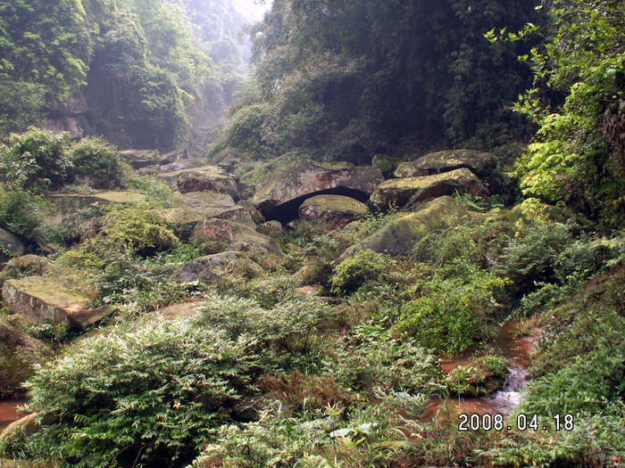 大旗山风光2