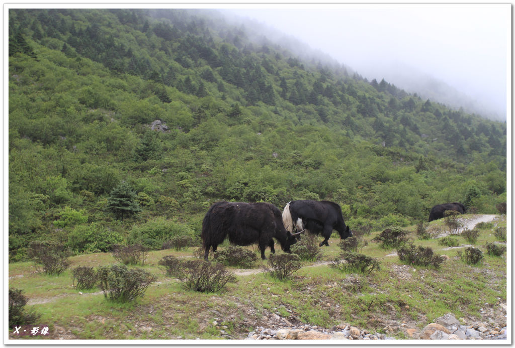 折多山 (1).jpg