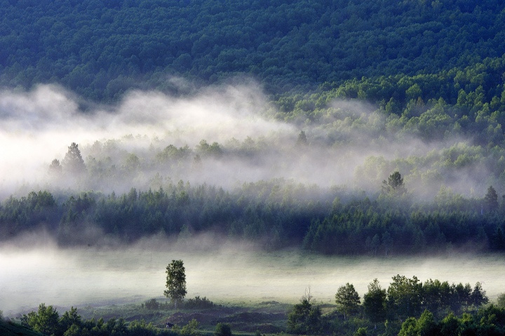 20090919003053w9420_13148[1].jpg