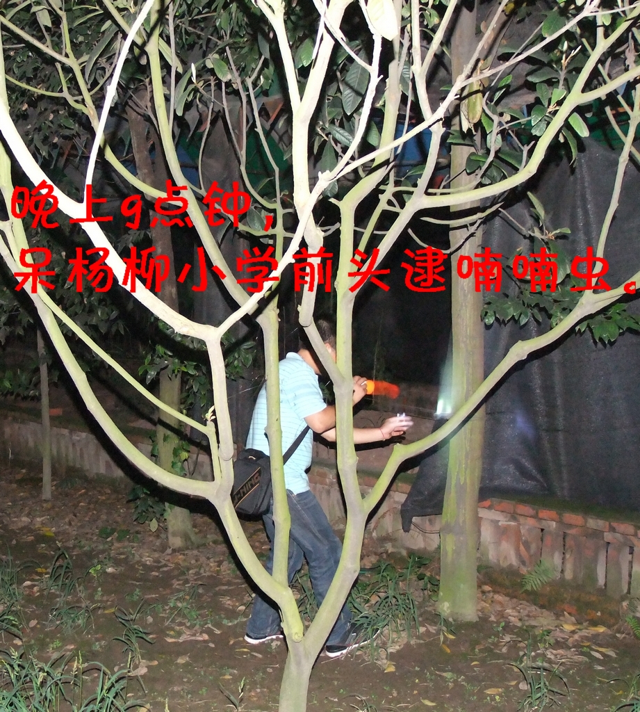 DSCF3494.JPG