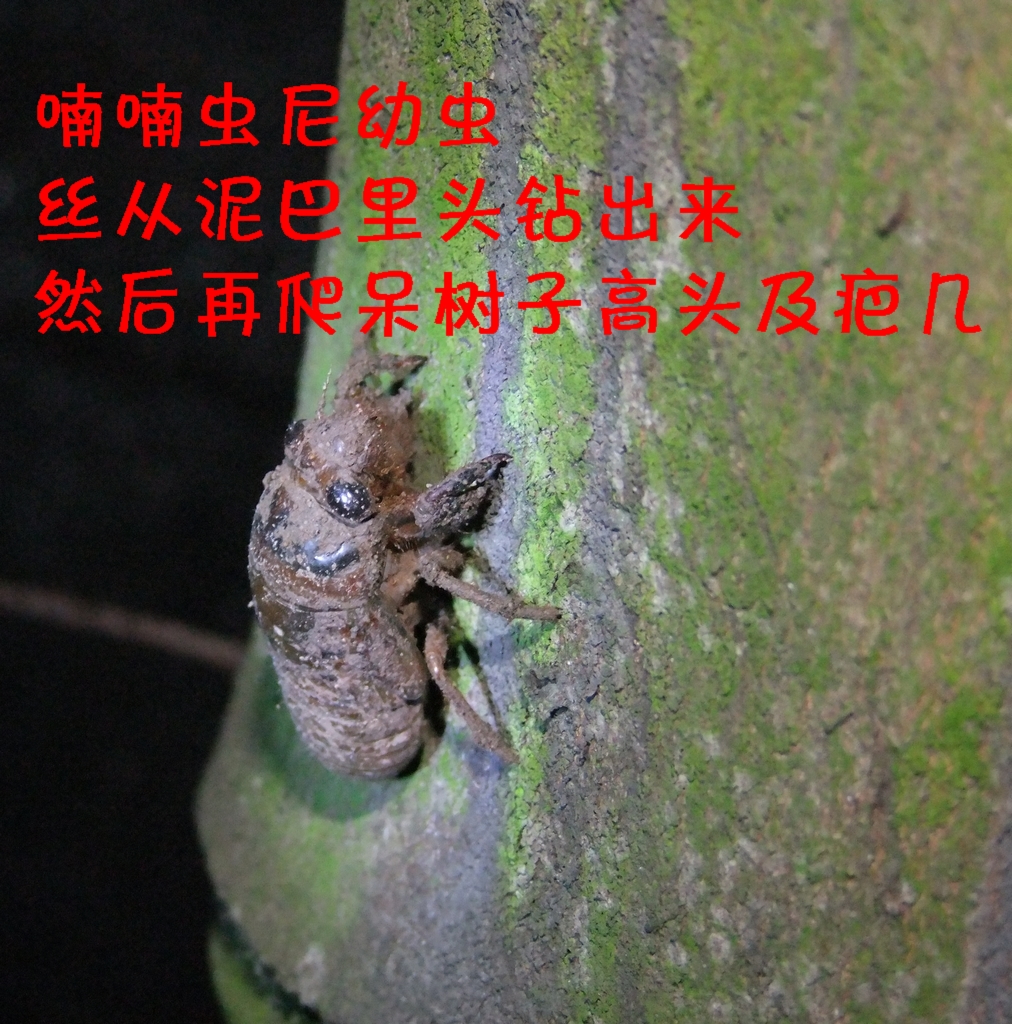 DSCF3497.JPG
