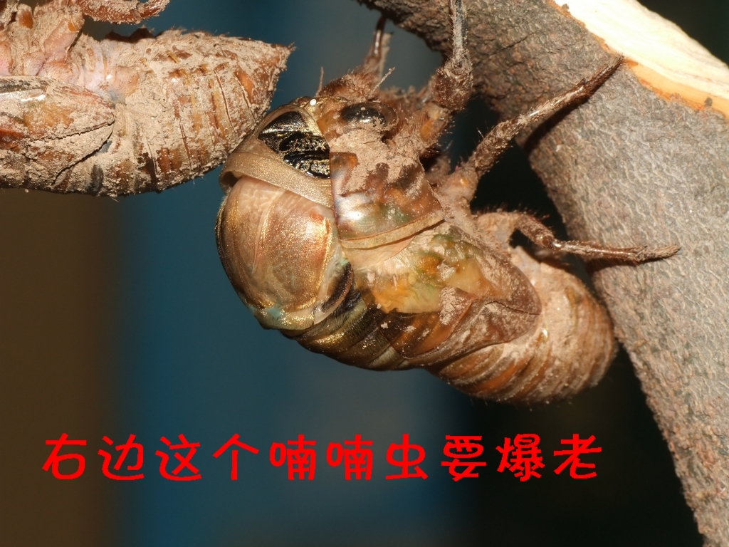 DSCF3543.JPG