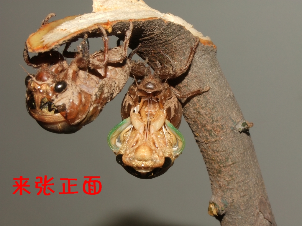 DSCF3572.JPG
