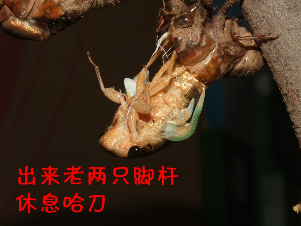 DSCF3581.JPG