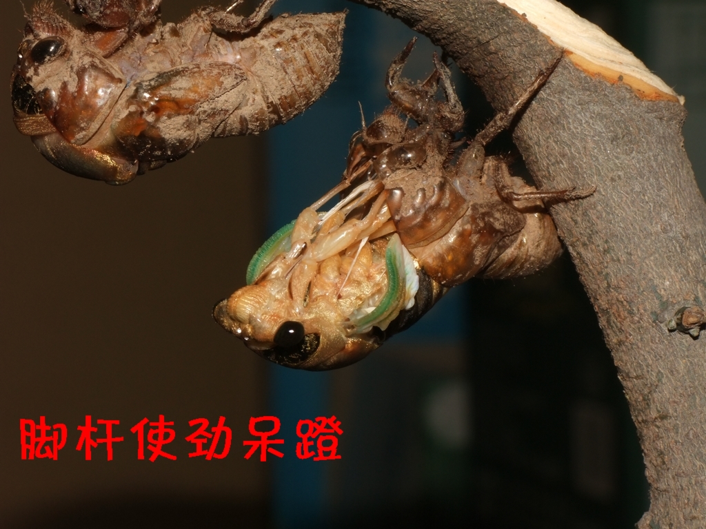 DSCF3573.JPG