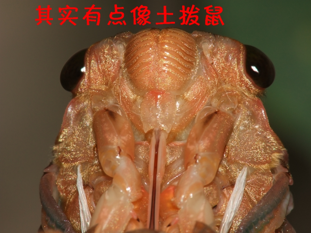DSCF3594.JPG