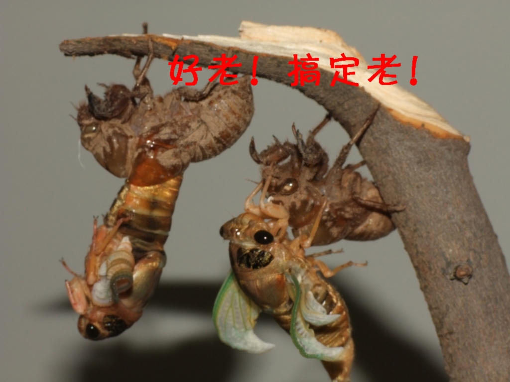 DSCF3619.JPG